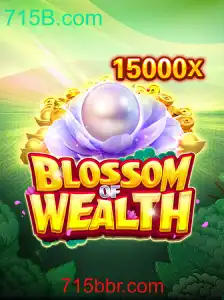 Explorando o Universo de BlossomofWealth: Um Mergulho Aprofundado